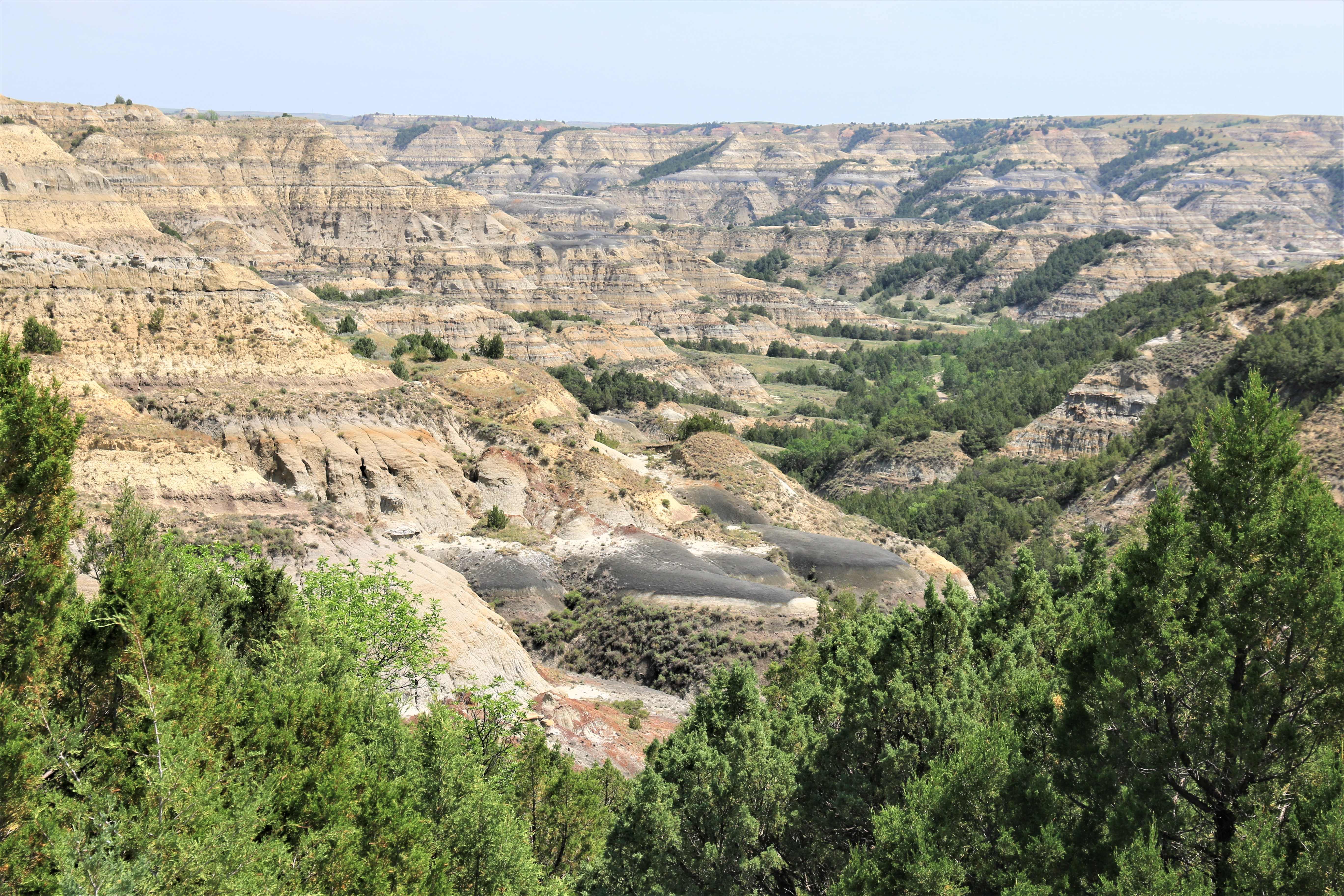 Theodore Roosevelt NP